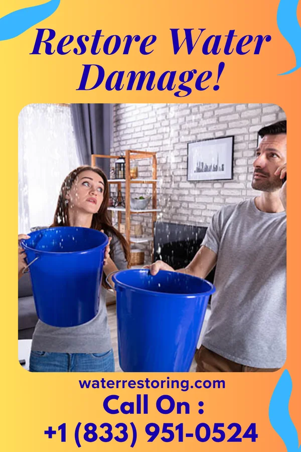 water restoration Total Flood Services Dickinson